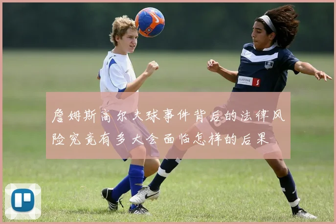 詹姆斯高尔夫球事件背后的法律风险究竟有多大会面临怎样的后果