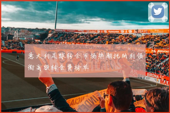 意大利足球转会市场热潮托纳利领衔高额转会费榜单